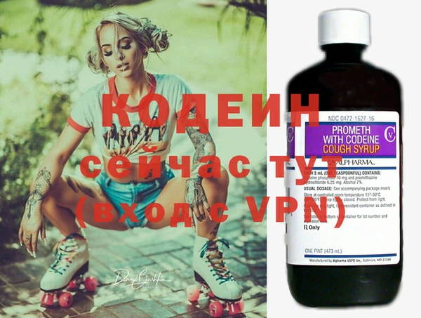 ГАЛЛЮЦИНОГЕННЫЕ ГРИБЫ Ельня