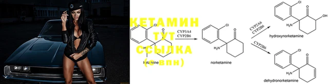 ГАЛЛЮЦИНОГЕННЫЕ ГРИБЫ Ельня