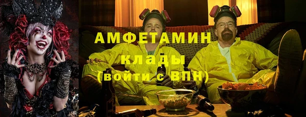 ГАЛЛЮЦИНОГЕННЫЕ ГРИБЫ Ельня