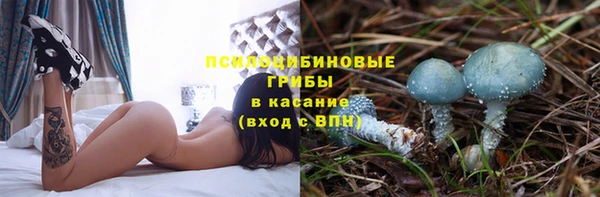 ГАЛЛЮЦИНОГЕННЫЕ ГРИБЫ Ельня