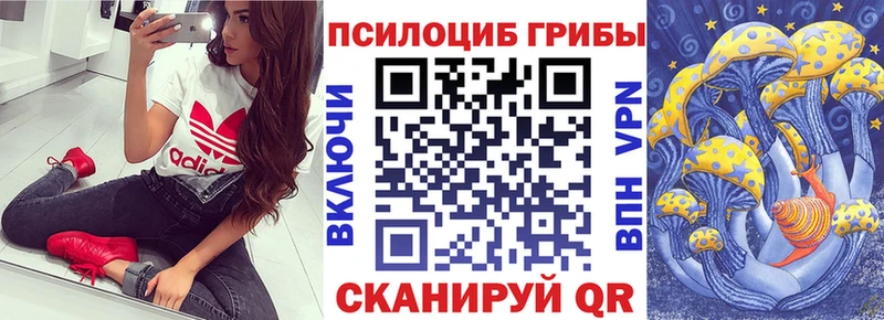 MEGA вход  Учалы  Псилоцибиновые грибы Cubensis  хочу наркоту 